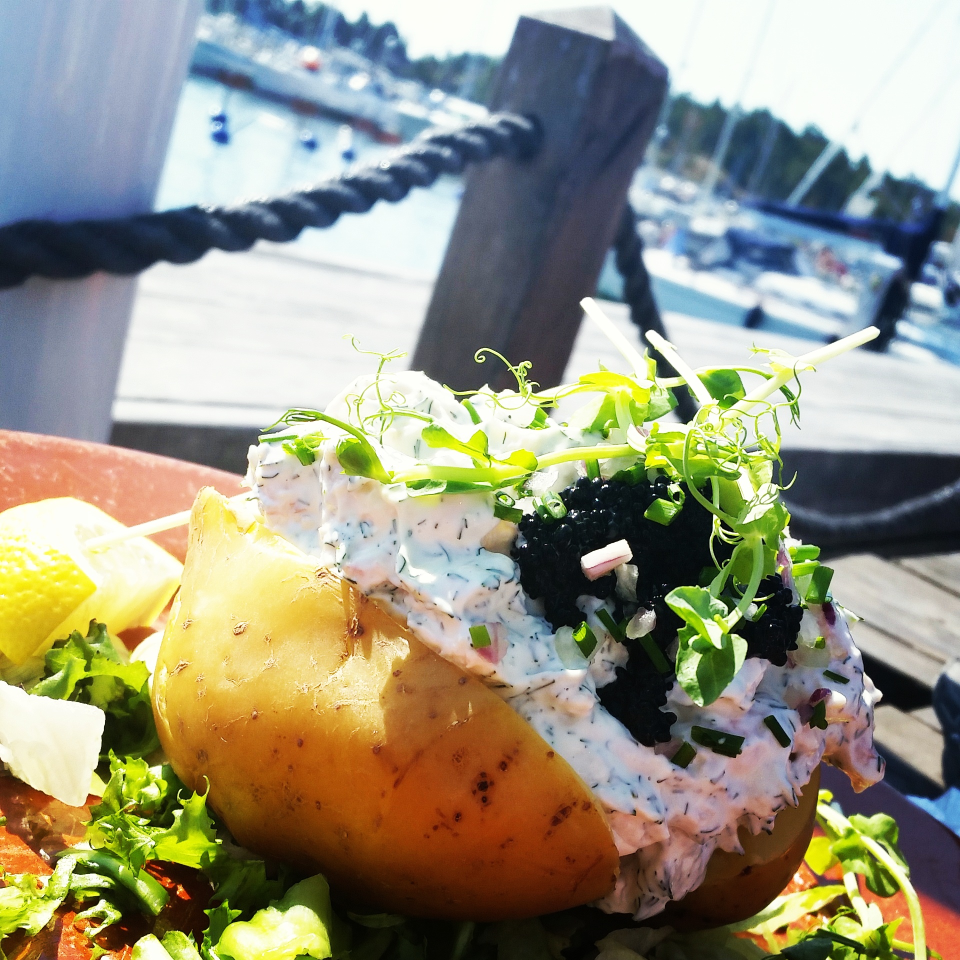 IMG_20140724_111057.jpg image