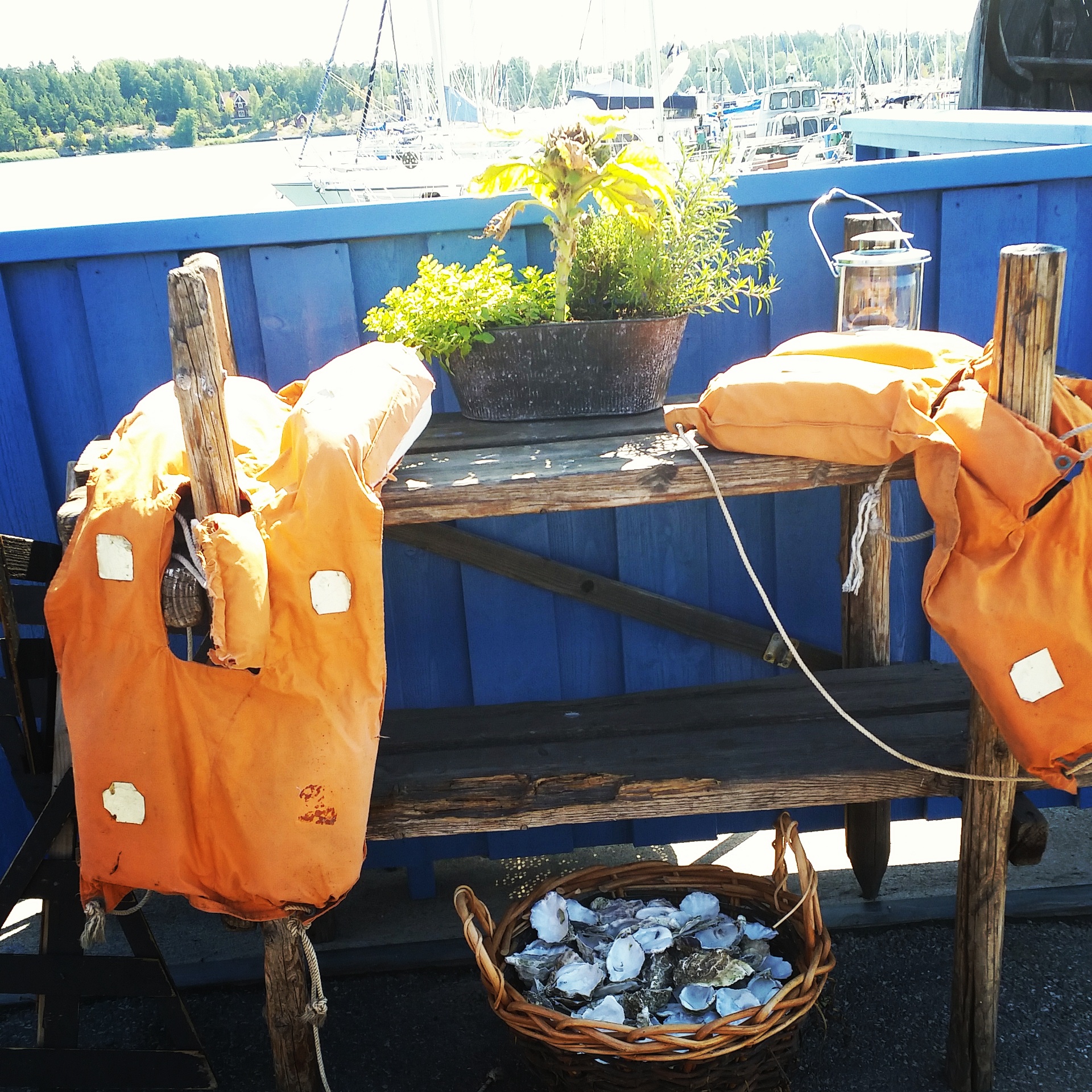 IMG_20140724_114744.jpg image