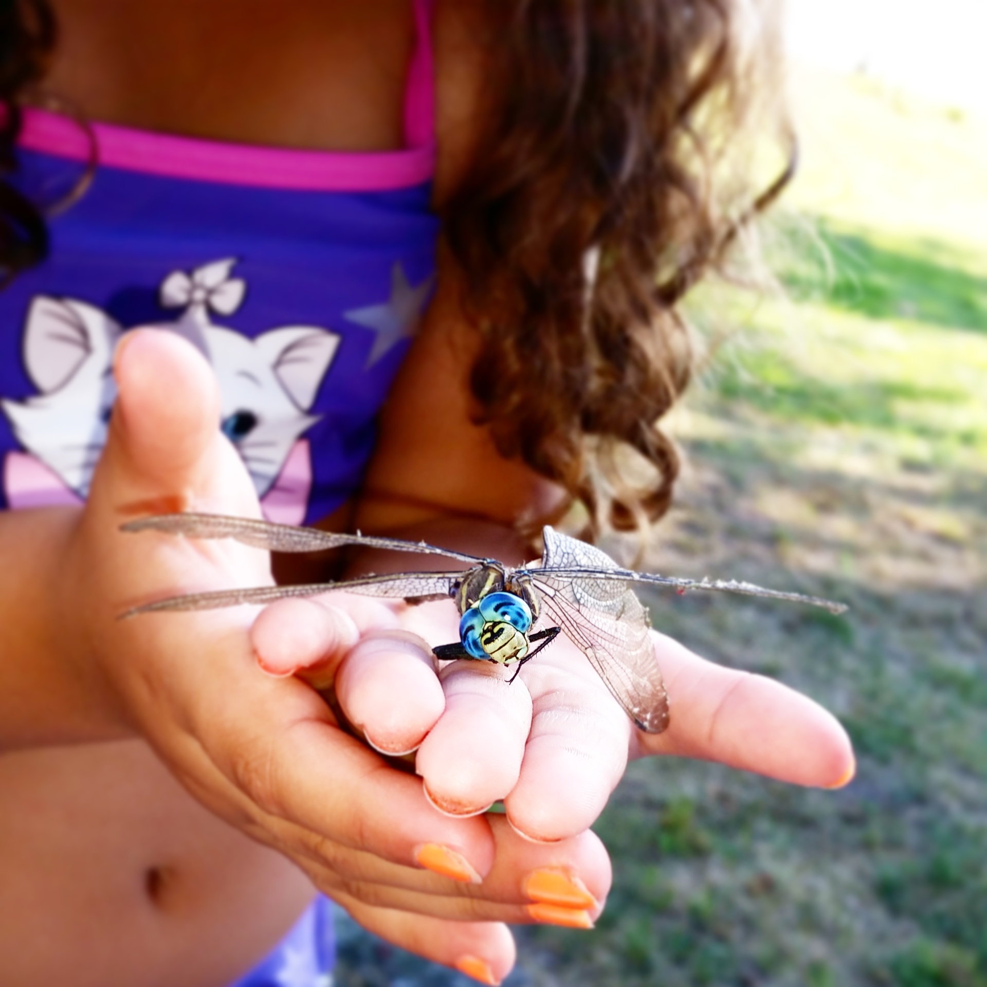 IMG_20140729_183949.jpg image