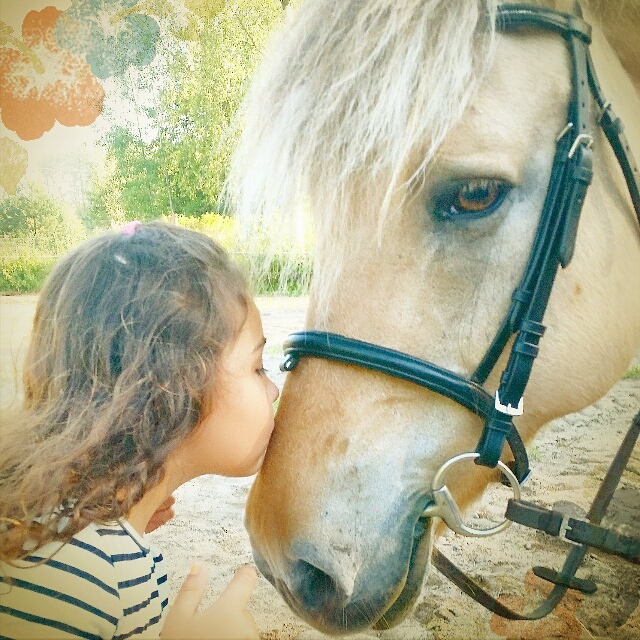 IMG_20140731_200052.jpg image