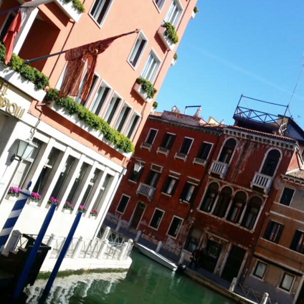 IMG_20150402_111814.jpg image