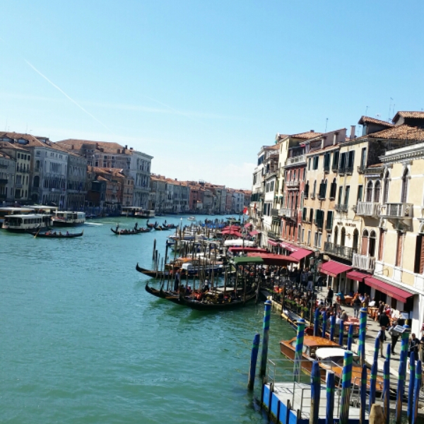 IMG_20150402_124830.jpg image