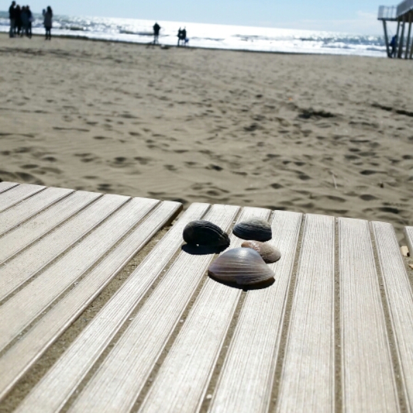 IMG_20150403_102918.jpg image