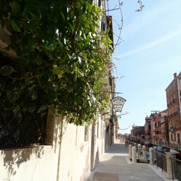 IMG_20150406_124624.jpg image