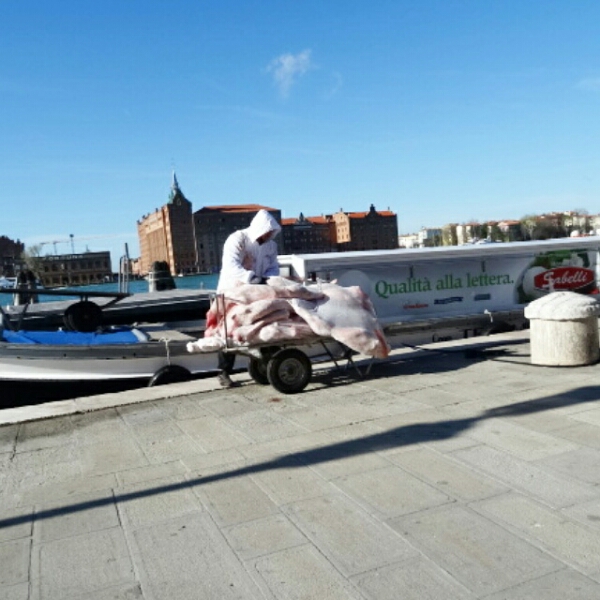 IMG_20150406_125813.jpg image